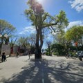 Odličan turistički rujan, Nijemci najbrojniji