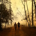"Gledamo ih kao našu: Decu!" Ljubica i Tarzan pružili dom vatrogascima koji gase požar u delibaltskoj peščari: "Čekamo da se…