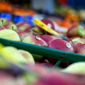 Rusija ostaje glavno tržište za poljske jabuke – uprkos zabrani izvoza