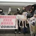 Južna Koreja zabranila farme pasa i prodaju njihovog mesa, konzumacija i dalje dozvoljena