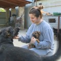 Somborka Andrea Žuljević brine o 27 pasa, tri konja, četiri mačke i još toliko koza