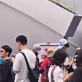''Ima ih svuda, odvratno je''! Napad insekata u Japanu