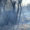 Toplički okrug u plamenu: Najteža situacija sa požarima na području Žitorađe, Kuršumlije i Prokuplja