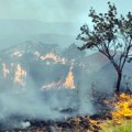 Mup objavio gde je najkritičnije stanje: Širom Srbije gori više od 100 požara