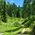 Planinarka u slovenačkim Alpima naišla na neverovatan prizor koji je mnoge ostavio u čudu: "Odakle se samo stvorila?!"