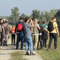 Izleti u Srbiji za posmatranje jesenje migracije ptica 4. i 5. oktobra