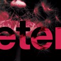 Letu Štuke – Eter: Najsporiji bend na svetu stiže opet do cilja