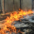Veliki požari u Jakutiji zahvatili 1200 hektara šume