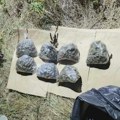 Sedamnaestogodišnjak iz Niša osumnjičen za prodaju droge