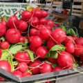 Kakva je ponuda voća i povrća i prodaja na pijacama u Crnoj Gori, BiH i Srbiji?