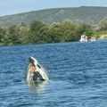Jedan muškarac pronađen mrtav u Neretvi, za drugim se i dalje traga