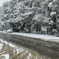 Sneg zavejao puteve na Zlatiboru, meteorolozi upozoravaju na obilne padavine u celoj Srbiji