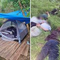 Policija upala u improvizovani kamp kod Beograda: Zatečeni migranti, akcija trajala satima