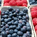 Borovnica u otkupu skuplja od maline