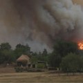 (VIDEO/FOTO) Požar u Deliblatskoj peščari se ne smiruje, vetar otežava gašenje