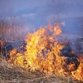 Izbio požar kod Leskovca: Zahvaćeno nisko rastinje i deponija, vatrogasci sprečili širenje vatre
