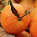 Zašto treba da jedemo pomorandže?