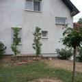 ZAMENA KOTLOVA, STOLARIJE I SOLARNIH PANELA? Stižu subvencije, kako do bespovratnih sredstava! Evo ko može da se prijavi i…
