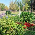 Крагујевац: Временска прогноза за предстојећи викенд (од 19. до 21. септембра)