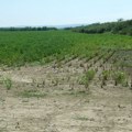 Kako oživeti usahlo zemljište jugoistočne Srbije?