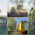 (Видео) Горе напуштене бараке! Пожар у Лиманском парку, дим се шири на све стране, ватрогасци на терену