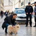 Pomazila pomeranca na ulici, horor usledio nakon 2 nedelje: "Na vrata nam došao tetovirani tip, pretio nam pištoljem" Novi šok…