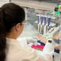 Da li postoji opasnost da se hantavirus proširi i van kruzera: Epidemiolog o prenošenju, sojevima i simptomima