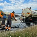 Komunalne ekipe u Kragujevcu rade na uređenju ulica, zelenih površina i javnog osvetljenja
