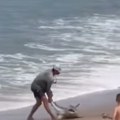 Krvavi napad na plaži Zver ščepala ribara za nogu i ugrizla ga, vrisci odjekivali obalom! (video)