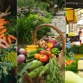Pazar za pola godine čak 26,3 milijarde dinara, jagma za medom, kajmakom, jabukama, jajima! Srpske pijace drže primat, a evo…