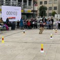 Turistička organizacija Leskovac organizovala manifestaciju „Igre bez granica“, učestvovalo 60-ak osnivaca