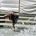 Crveni meteoalarm na snazi u tri regiona u Srbiji, objavljeno upozorenje na dugotrajan toplotni talas