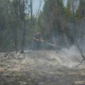 Ocokoljić: Situacija sa požarima u Deliblatskoj peščari ozbiljna, ali bolja nego ranije