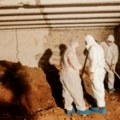 Uhapšena jedna osoba osumnjičena za kopanje tunela do depoa Višeg suda u Podgorici