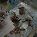 SZO: saopštila tužnu vest: "Dve prerano rođene bebe umrle u bolnici Al Šifa pre evakuacije"