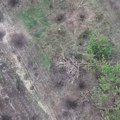 Brutalna likvidacija pešadije OSU: Grupa Zapad kida dronovima, a zatim "čisti" rovove (video)