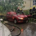 Posledica nevremena u Srbiji: U Somboru ženska osoba stradala kada je drvo palo na vozilo kojim je upravljala