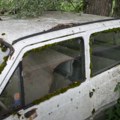 Napuštena Panda nađena u šumi: Pali k'o mina posle 17 godina VIDEO
