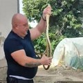 "To je komada 1! ’oće da ape!" Vladica vadi zmijurine iz temelja stare kuće i samo ih pakuje u torbu?! Stepskog smuka…
