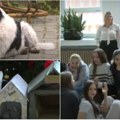 Petica kao kuća za „đokine“ osnovce: Od kartona i najlona učenici u holu škole napravili topli dom za pse. Nisu zaboravili ni…