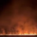 (Video) Vatra se vidi iz velike udaljenosti: Buknuo požar između Kuzmina i Adaševaca