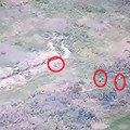 Masakr na levom krilu Zaporoškog fronta: Rusi namamili neprijatelja u zamku i uništili celu jedinicu (video/mapa)
