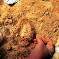 "Britanska Pompeja": Pronađeni izuzetno očuvani predmeti koji su upali u reku Nin pre 3.000 godina