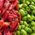 Paprika ove godine ne donosi zaradu