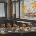 Izložba „Dobro sakupljanje – loše sakupljanje“: Potraga za znanjem ili deo kolonijalne logike