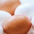Nova studija: Manji unos proteina mogao bi da doprinese zdravijem starenju