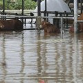 Južna Koreja: Tropska oluja Kanun odnela jedan život, 16.000 ljudi evakuisano (FOTO)