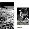 Indijski lunarni rover poslao prve fotografije lendera "Vikram" na površini Meseca