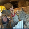 Za dva dana useljenje sestara Dimitrov: Roska i Mika spavale s ovcama na krevetu od slame, a za samo 48 sati ući će u svoj…