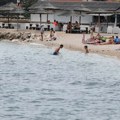 Pronađeni ostaci invazivne vrste na Jadranu: Snimak sa plaže uzrujao mnoge: Doplutali na obalu i uginuli, stručnjaci…